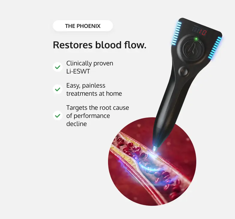 Sexual Wellness - The Phoenix